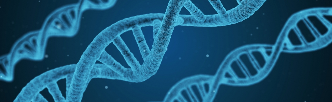 Using CRISPR Technology for Accurate Sample Preparation and Transfection